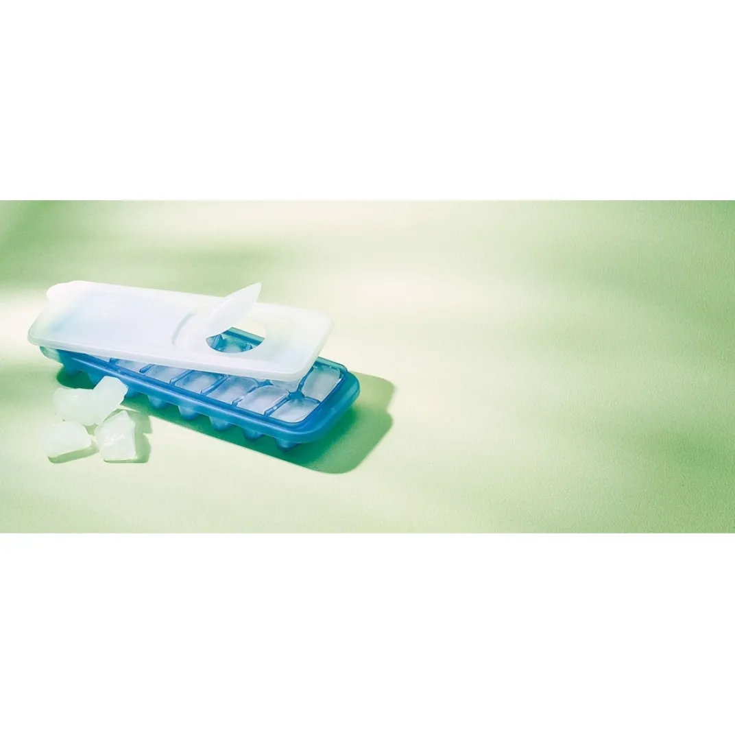 Fraîcheur / Conservation-Tempsl 2 bacs à glaçons avec couvercles