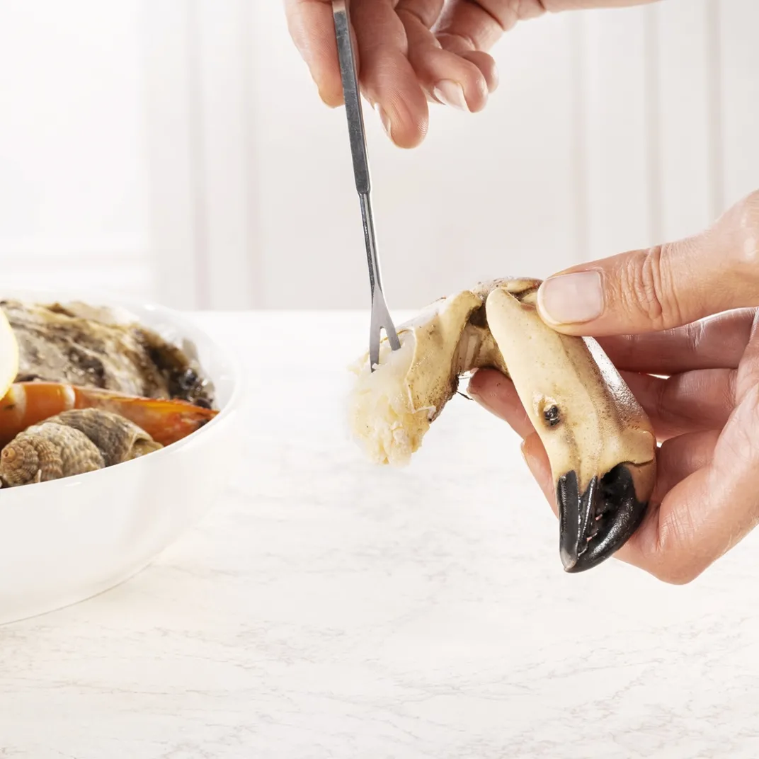 Table De Noël|Art De La Table-Tempsl 4 curettes à crustacés