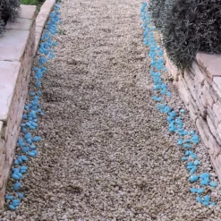 Décorations Jardin Et Extérieur-Tempsl 100 pierres phosphorescentes : «vertes» ou «bleues»