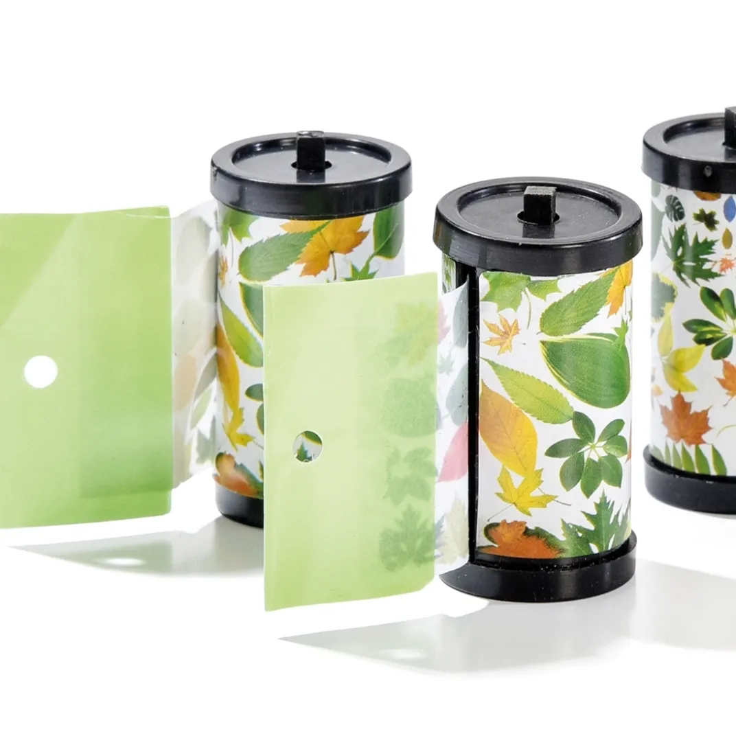 Anti-Nuisibles Et Anti-Insectes-Tempsl 4 rouleaux attrape mouches feuilles