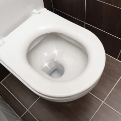 Produits D'Entretien|Salle De Bain Et Hygiène-Tempsl 20 tablettes WC