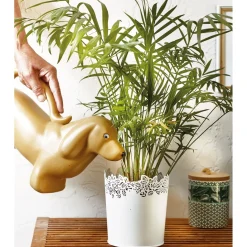 Accessoires Et Outils Jardin-Tempsl Arrosoir chat ou chien