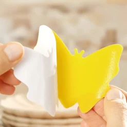 Anti-Nuisibles Et Anti-Insectes-Tempsl Attrappe moucherons ananas