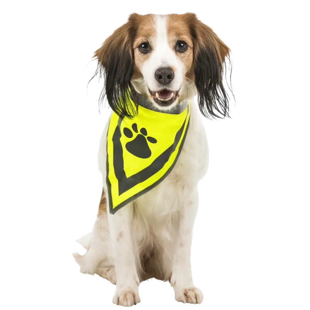 Accessoires Animaux-Tempsl Bandana sécurité pour chien taille S/M