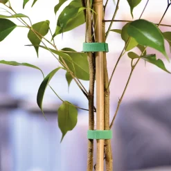 Accessoires Et Outils Jardin-Tempsl Bande auto agrippante 3 ou 5 mètres