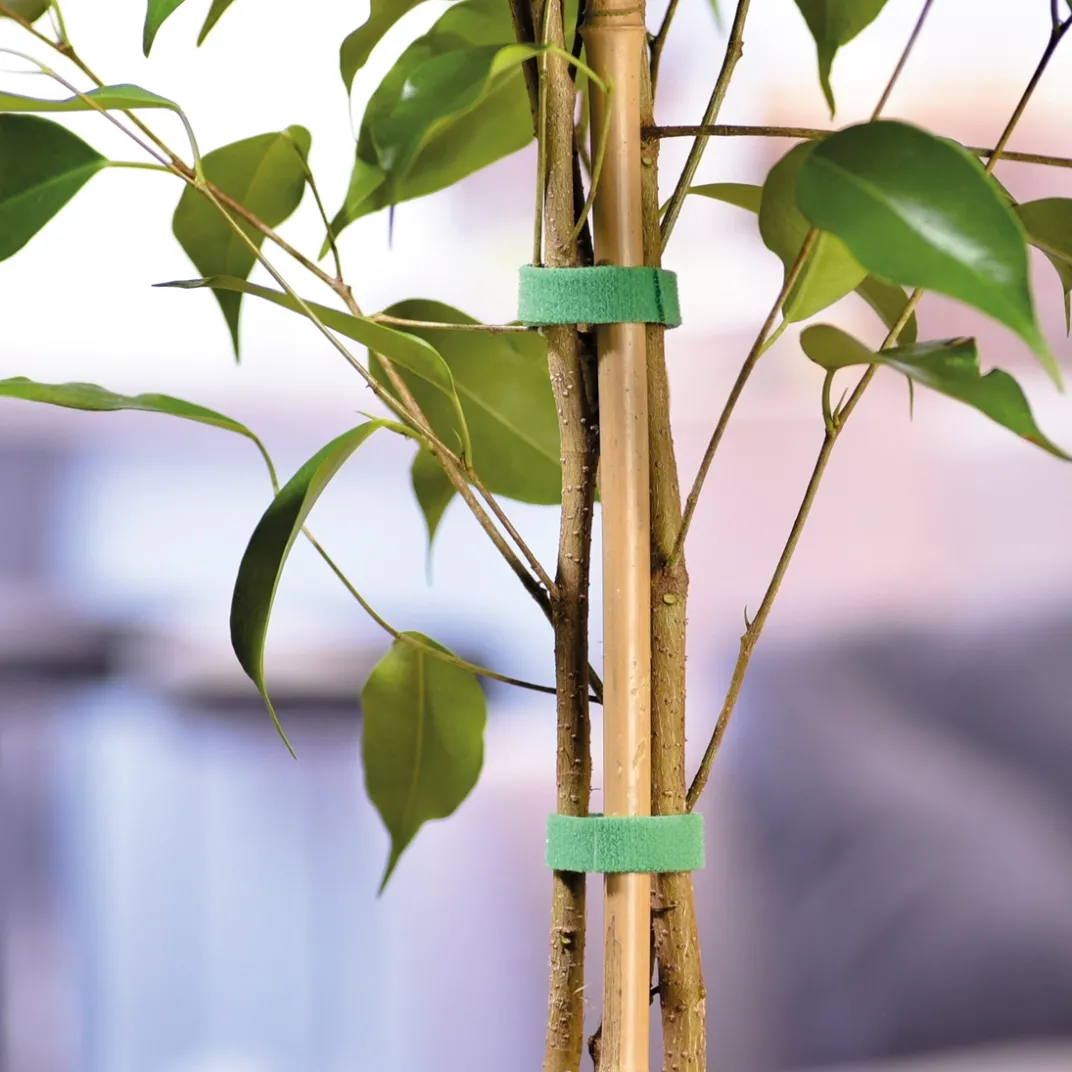 Accessoires Et Outils Jardin-Tempsl Bande auto agrippante 3 ou 5 mètres