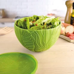 Fraîcheur / Conservation-Tempsl Boîte conservation