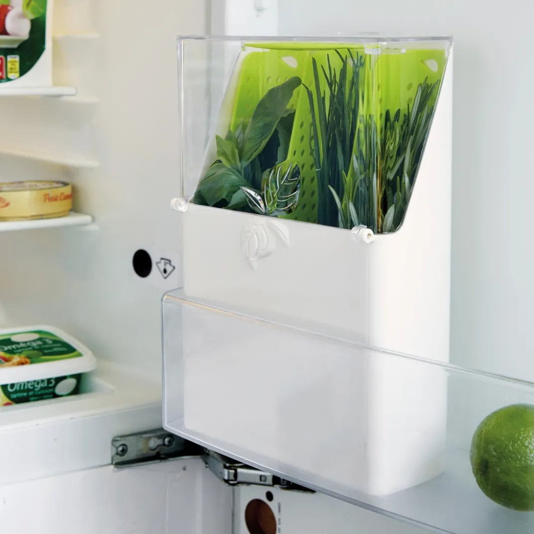 Fraîcheur / Conservation|Ustensiles De Cuisine Malins-Tempsl Boîte conservation fines herbes