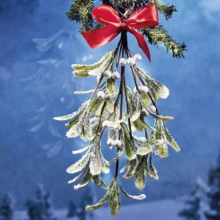 Décorations Intérieures Noël|Décorations Extérieures Noël-Tempsl Branche de gui