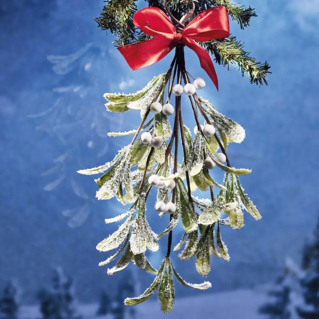 Décorations Intérieures Noël|Décorations Extérieures Noël-Tempsl Branche de gui