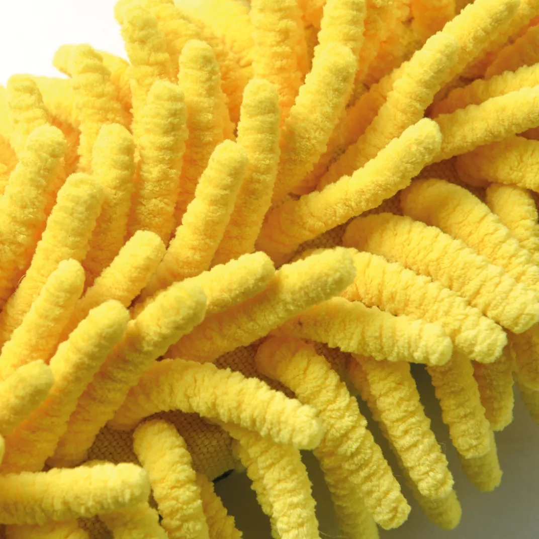 Balais, Aspirateurs, Éponges Et Brosses-Tempsl Brosse microfibres abeille