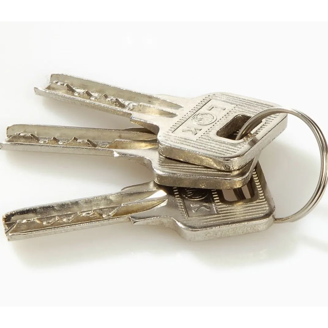 Accessoires Bricolage Et Astuces-Tempsl Cadenas alarme