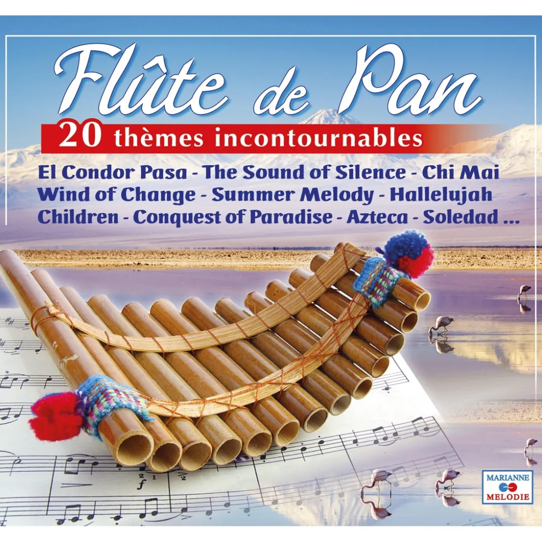 Cd, Dvd, Livres Et Jeux-Tempsl Cd flute de pan 20 themes incontournable