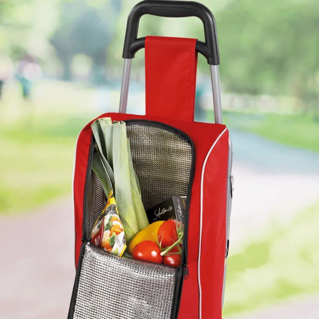 Organisation Et Entretien-Tempsl Chariot de courses