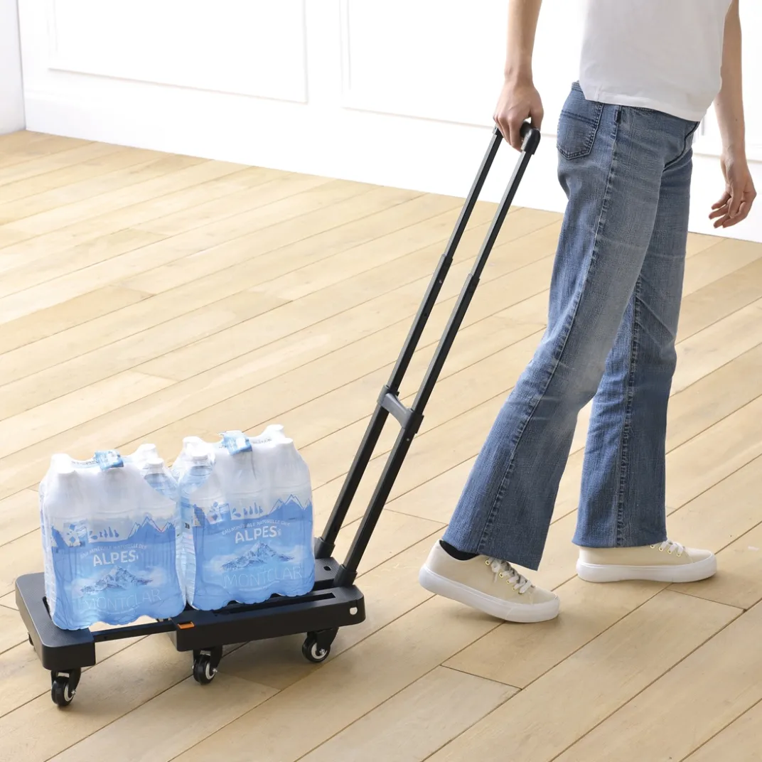 Organisation Et Entretien-Tempsl Chariot pliable