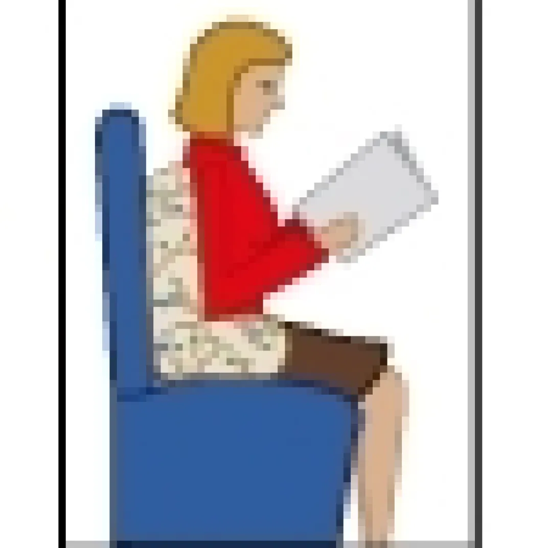 Décorations-Tempsl Coussin fauteuil oiseaux