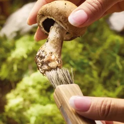 Découpe|Art De La Table-Tempsl Couteau champignon