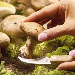 Découpe|Art De La Table-Tempsl Couteau champignon