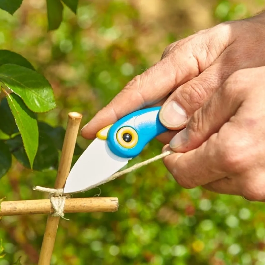 Découpe-Tempsl Couteau céramique bleu