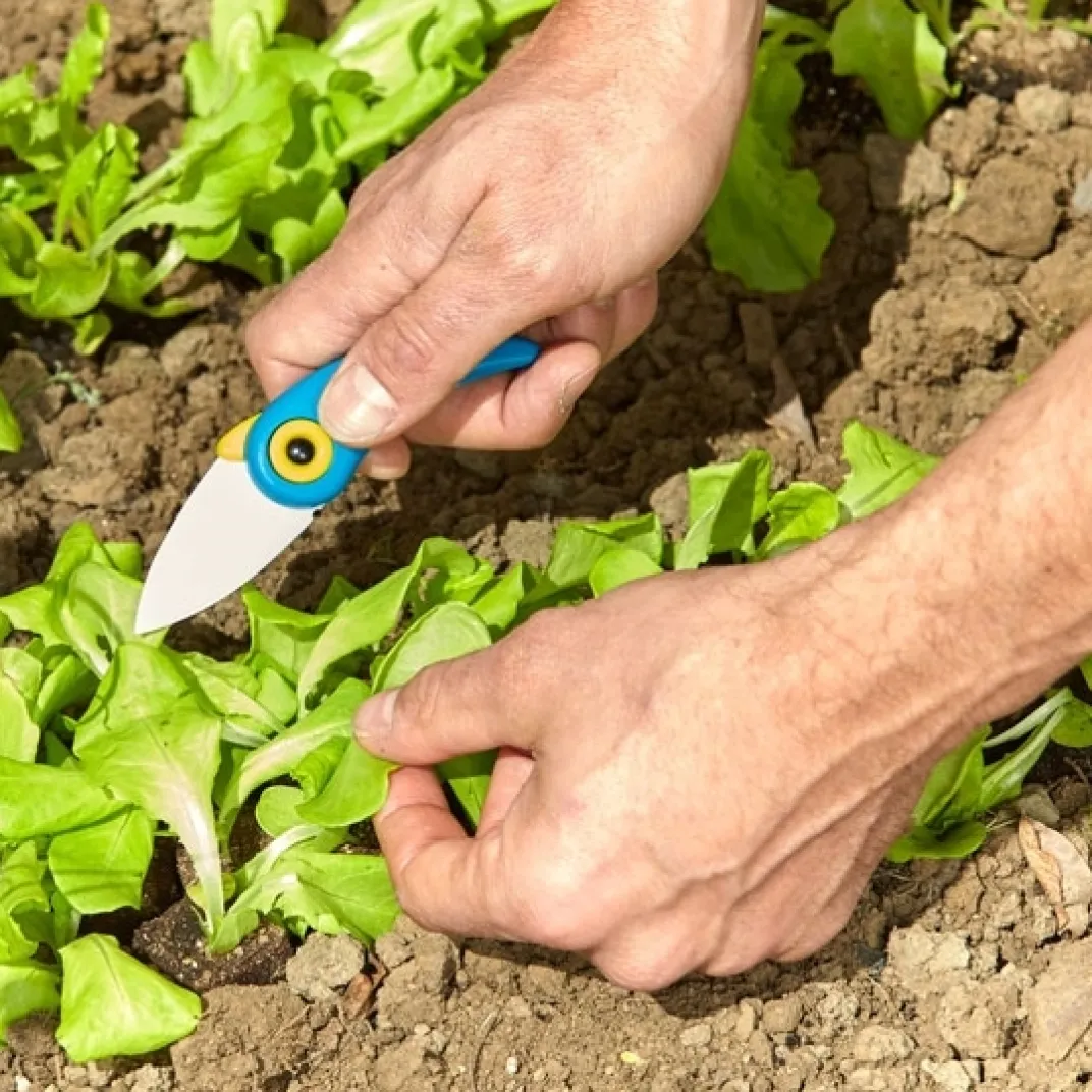 Découpe-Tempsl Couteau céramique bleu
