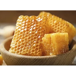 Fraîcheur / Conservation-Tempsl Couvre tout à la cire d'abeille