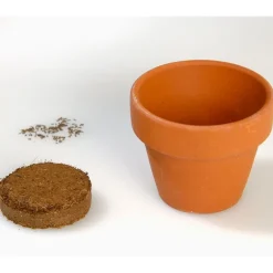 Décorations-Tempsl Edelweiss