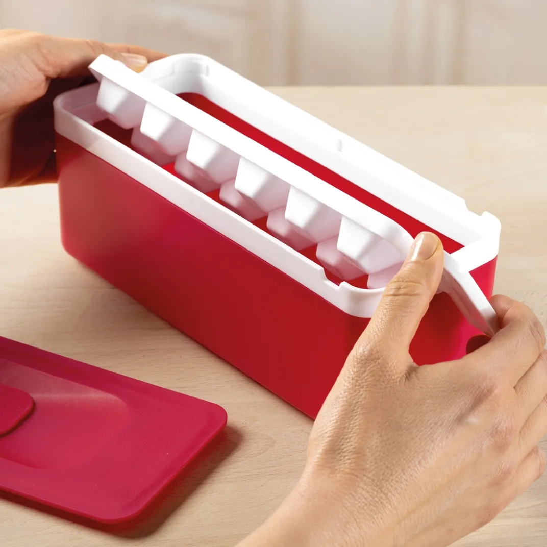 Fraîcheur / Conservation-Tempsl Fabrique à glaçons