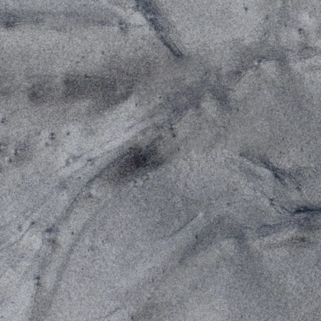 Produits De Beauté-Tempsl Fard à paupières longue tenue : divers coloris