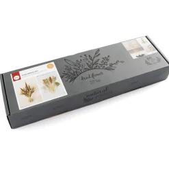 Décorations-Tempsl Fleurs séchées Naturelles