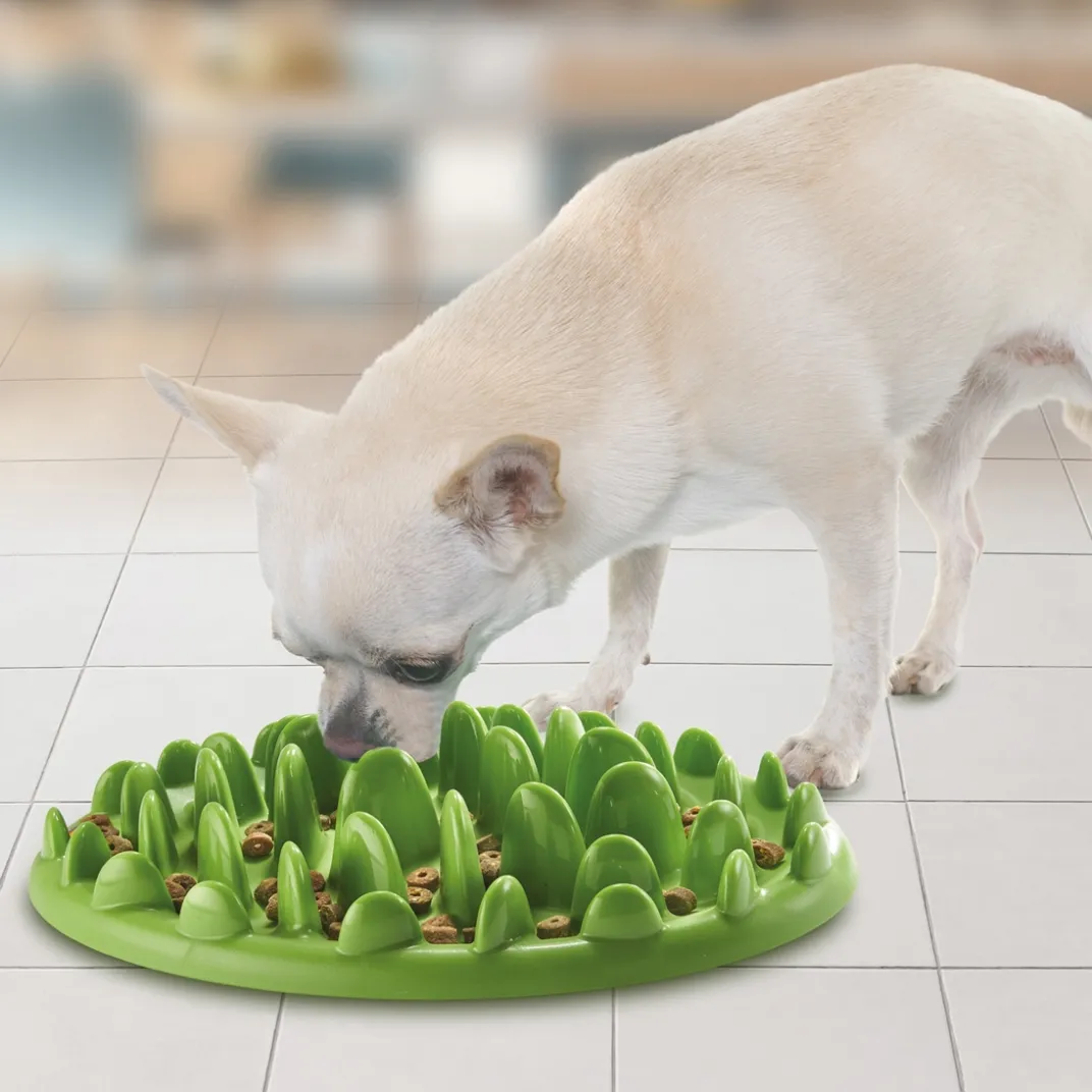 Accessoires Animaux-Tempsl Gamelle anti-gloutonnerie Chien ou chat