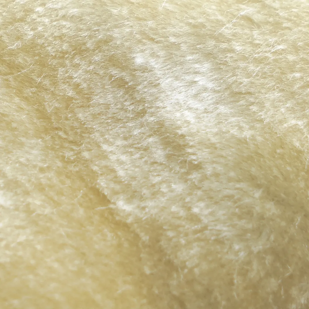 Accessoires Voiture-Tempsl Gant lustreur