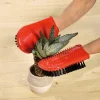 Accessoires Et Outils Jardin-Tempsl Gant pour cactus