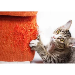 Accessoires Animaux-Tempsl Griffoir perfect griffes