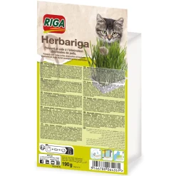 Accessoires Animaux-Tempsl Herbe fraîche pour chat