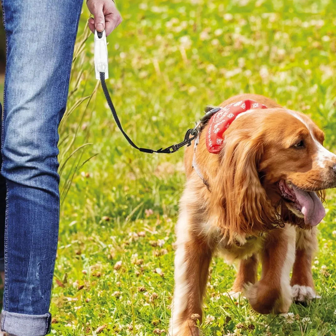 Accessoires Animaux-Tempsl Laisse avec enrouleur