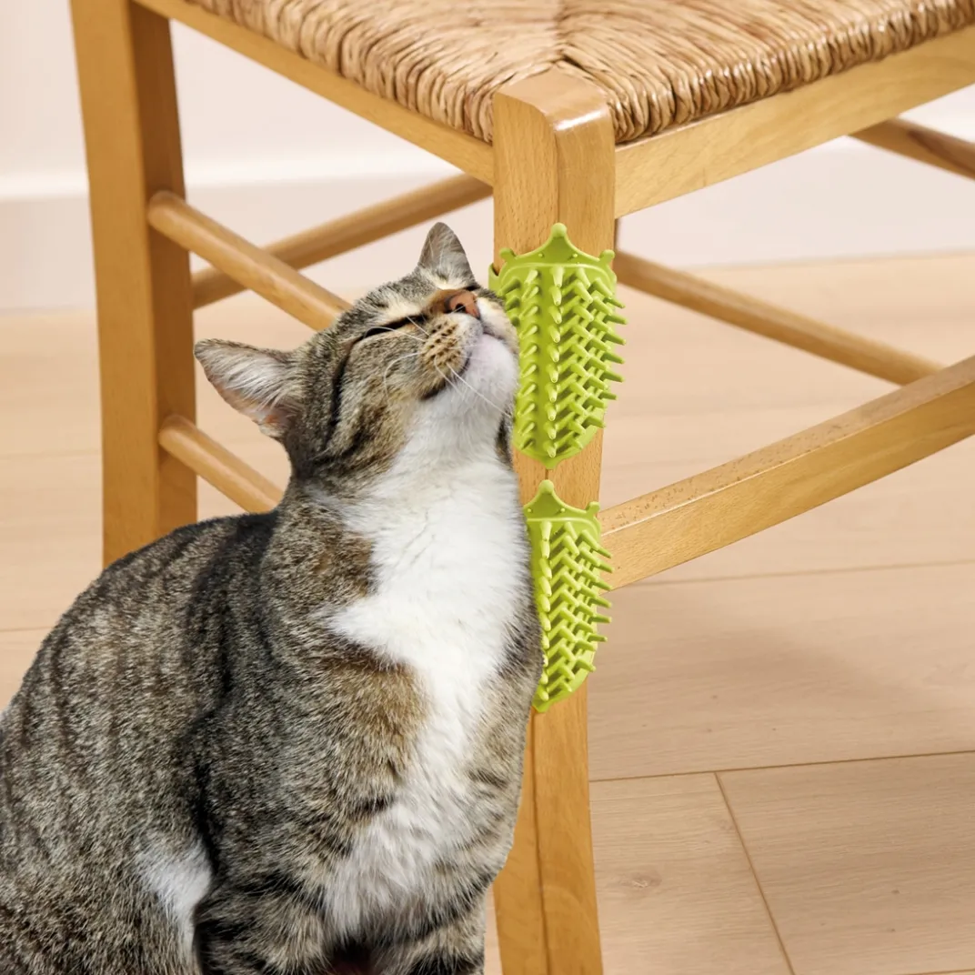 Accessoires Animaux-Tempsl Lot de 2 grattoirs chats