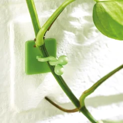 Accessoires Et Outils Jardin-Tempsl Lot de 50 guides de croissance