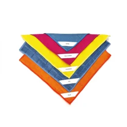 Matériels De Nettoyage-Tempsl Lot de 5 microfibres multisurfaces