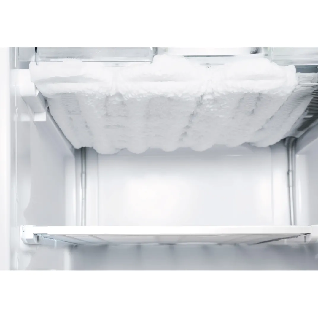 Produits D'Entretien|Fraîcheur / Conservation-Tempsl Lot de 2 spray dégivrant congélateur