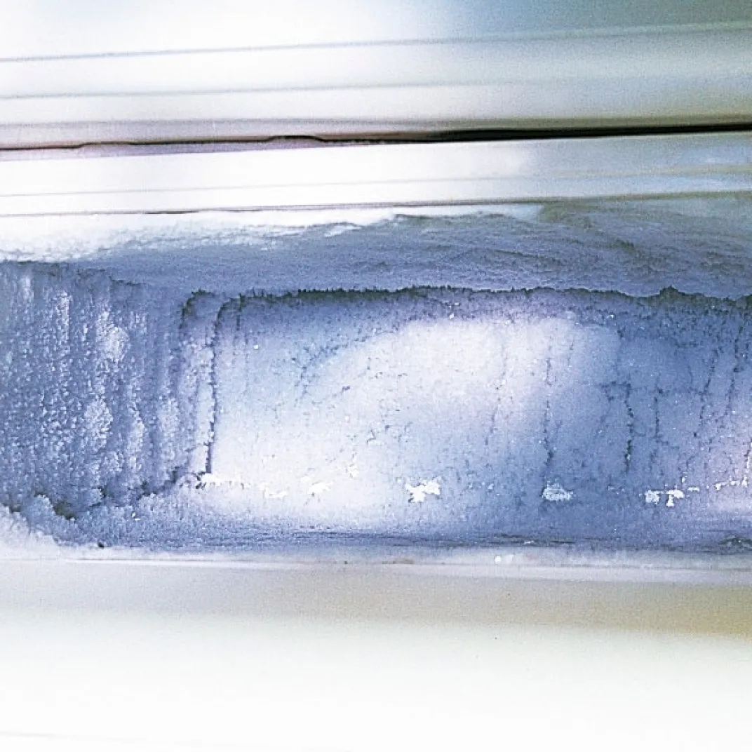 Produits D'Entretien|Fraîcheur / Conservation-Tempsl Lot de 2 spray dégivrant congélateur