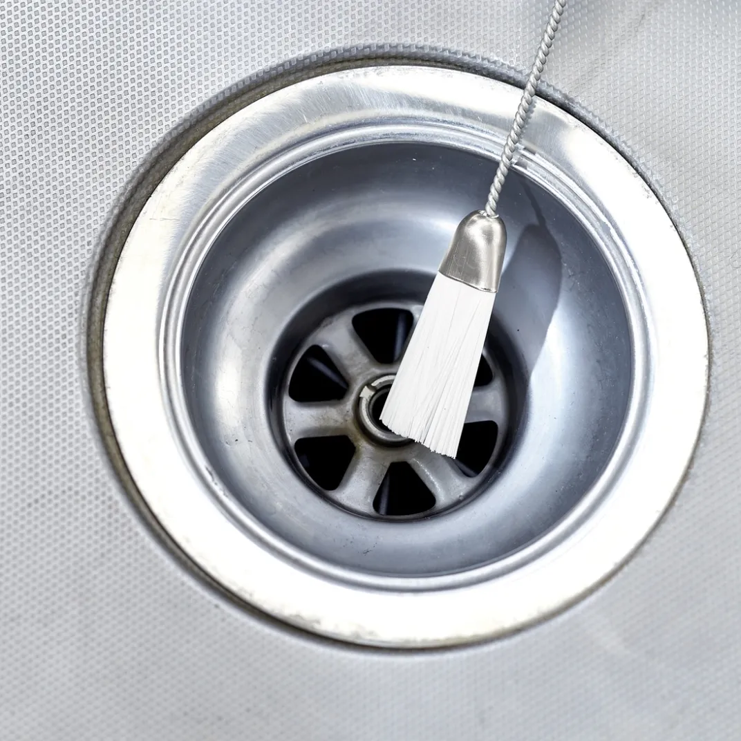 Organisation Et Entretien-Tempsl Mini goupillon brosse