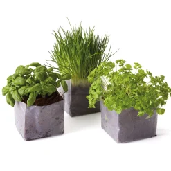 Ustensiles De Cuisine Malins-Tempsl Mon mini potager