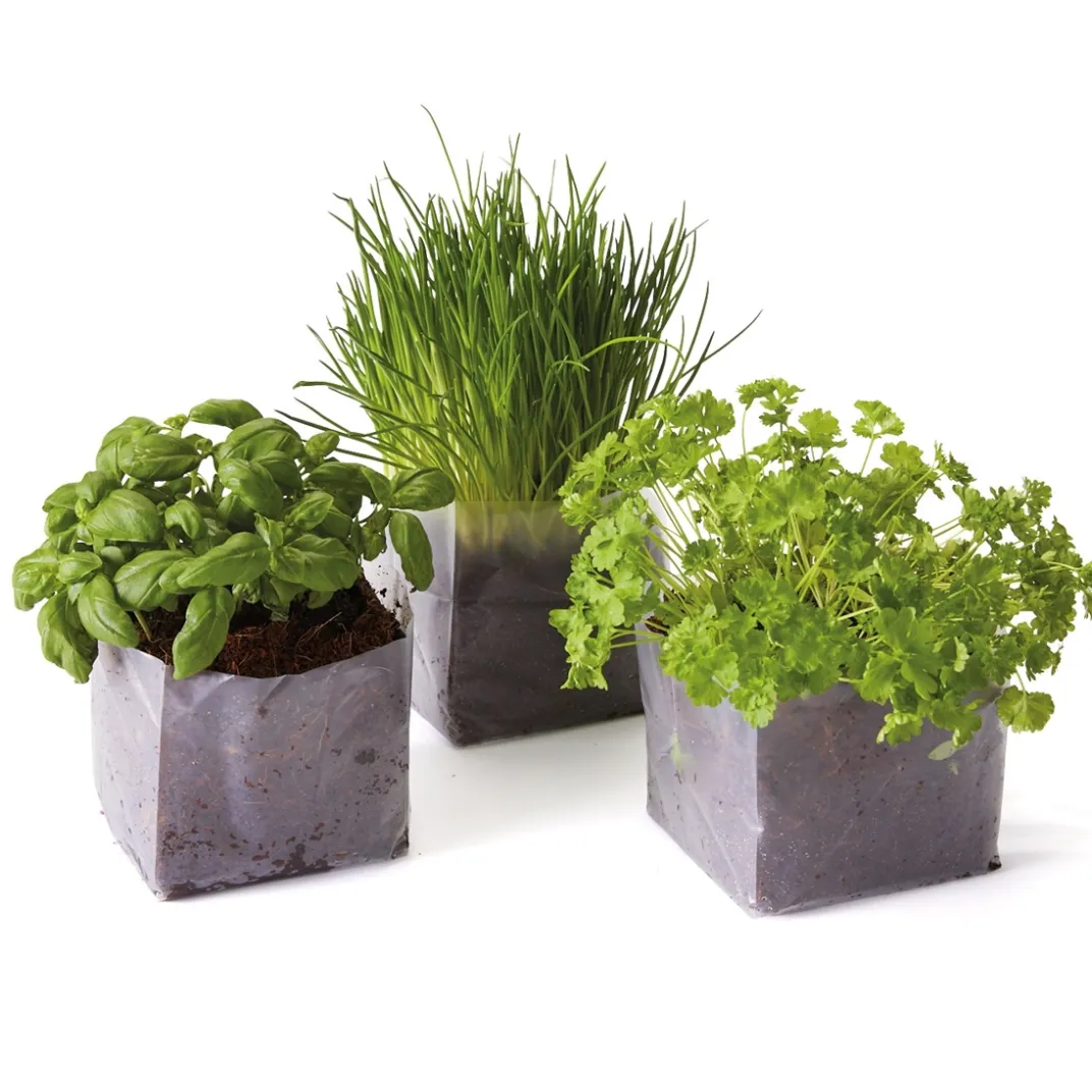 Ustensiles De Cuisine Malins-Tempsl Mon mini potager