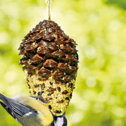 Accessoires Animaux-Tempsl Nourriture oiseaux pomme de pin géante