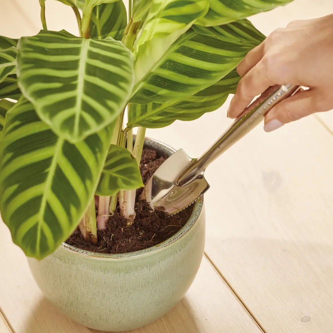 Accessoires Et Outils Jardin-Tempsl Pelle pour pot