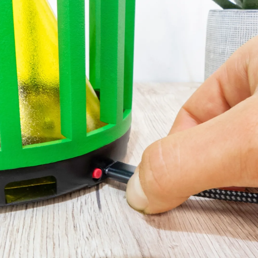 Anti-Nuisibles Et Anti-Insectes-Tempsl Piège à insectes Fly cactus