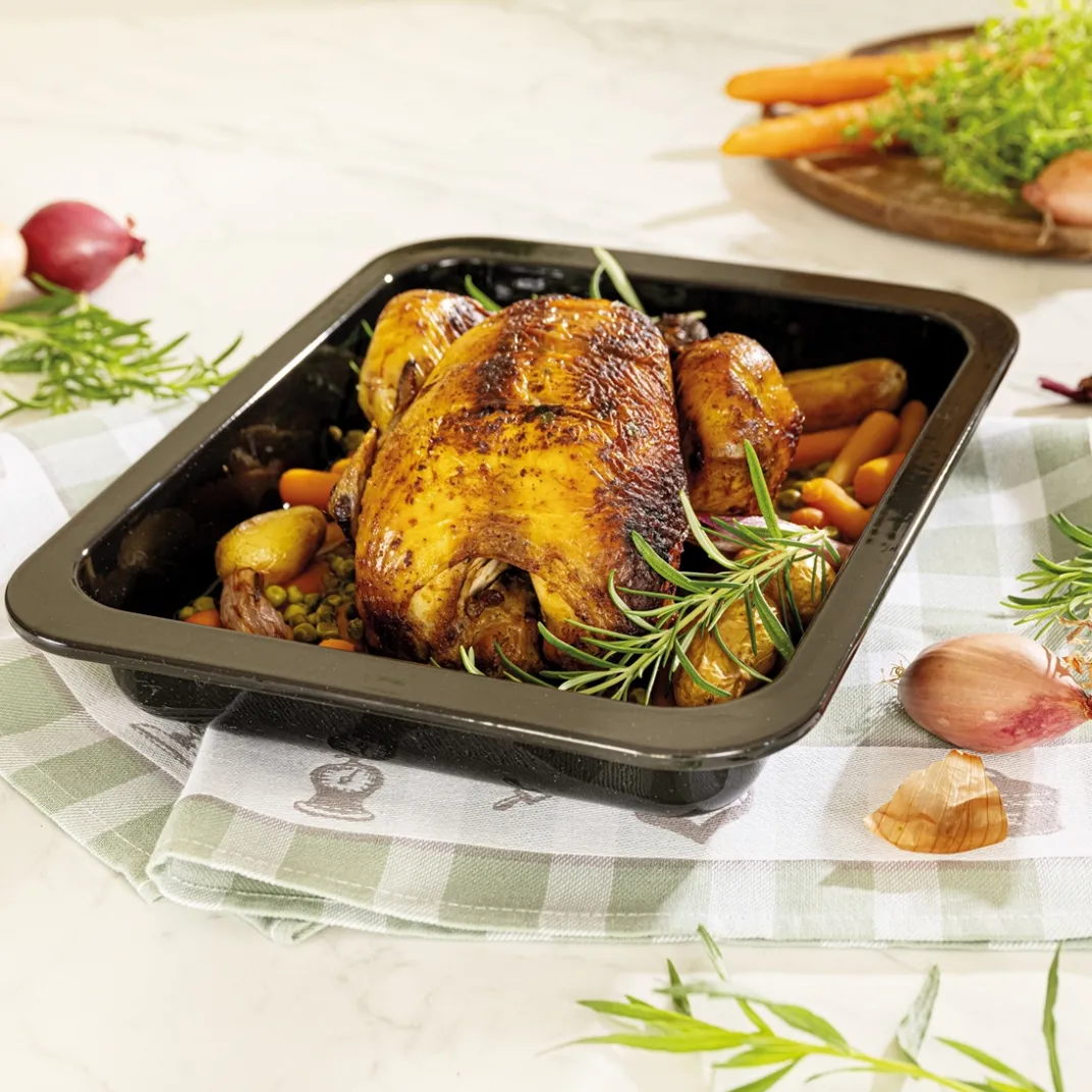 Cuisson Et Accessoires-Tempsl Plat à four émaillé