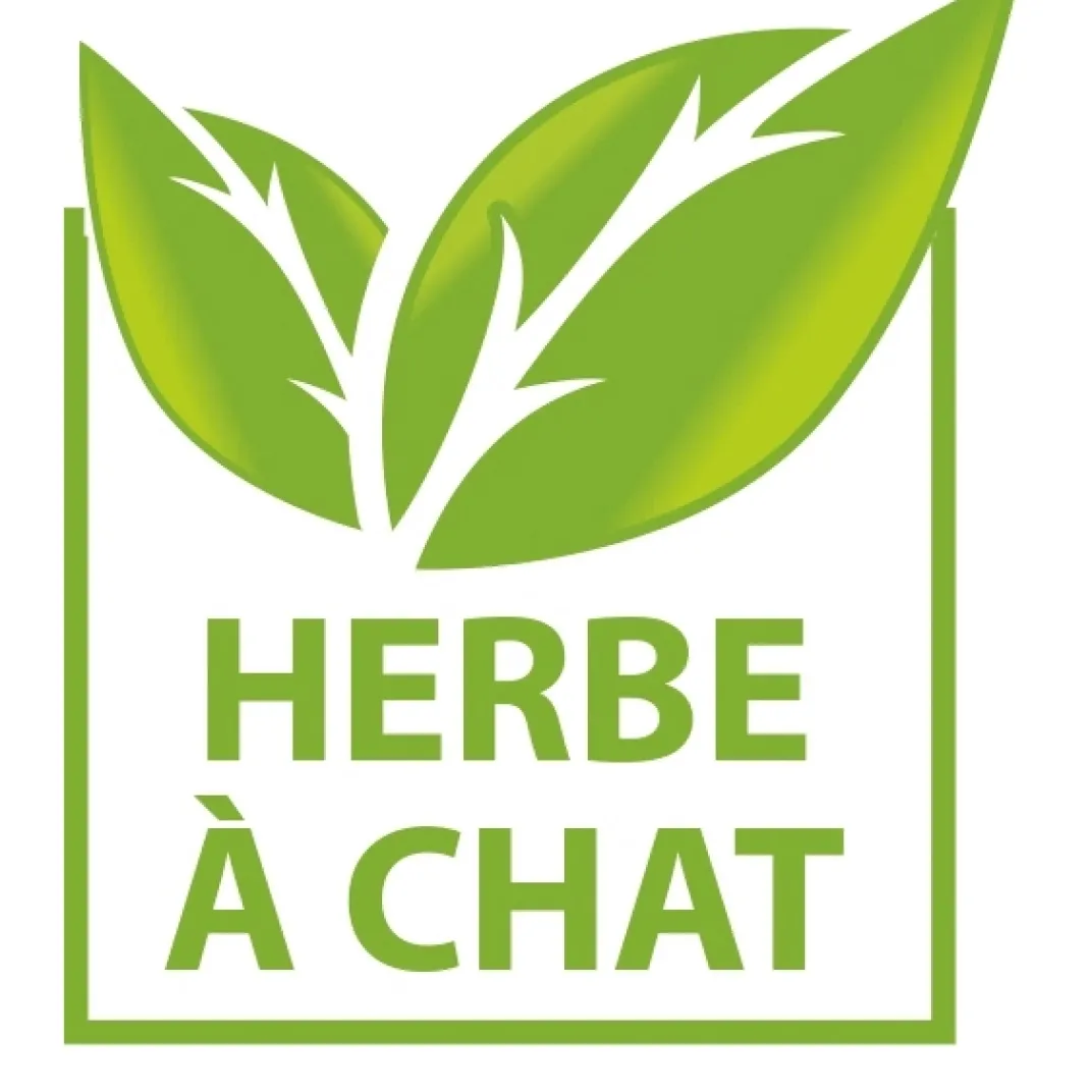 Accessoires Animaux-Tempsl Poisson clown gigotant pour chat