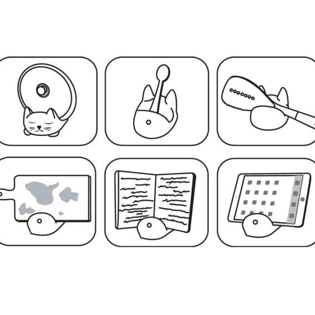 Cuisson Et Accessoires|Organisation Et Entretien-Tempsl Porte-couvercles et ustensiles de cuisine Chat