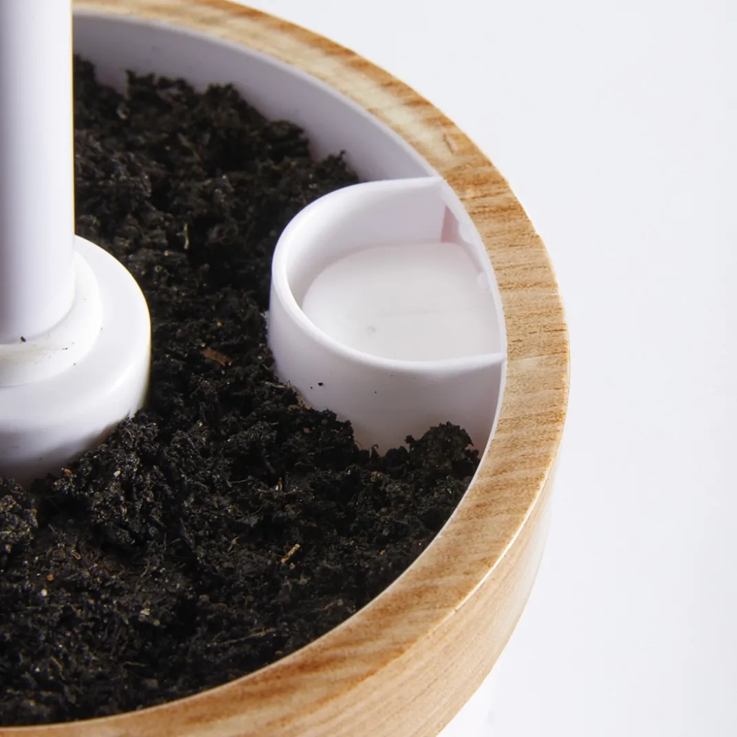 Découpe|Ustensiles De Cuisine Malins-Tempsl Potager d'intérieur LED